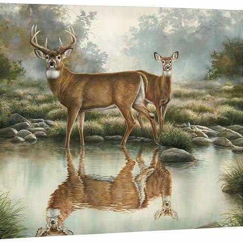 EAUX TRANQUILLES-CHEVREUIL À QUEUE BLANCHE TOILE ENCADRÉE GALERIE pour la vente par Art Brand Studios