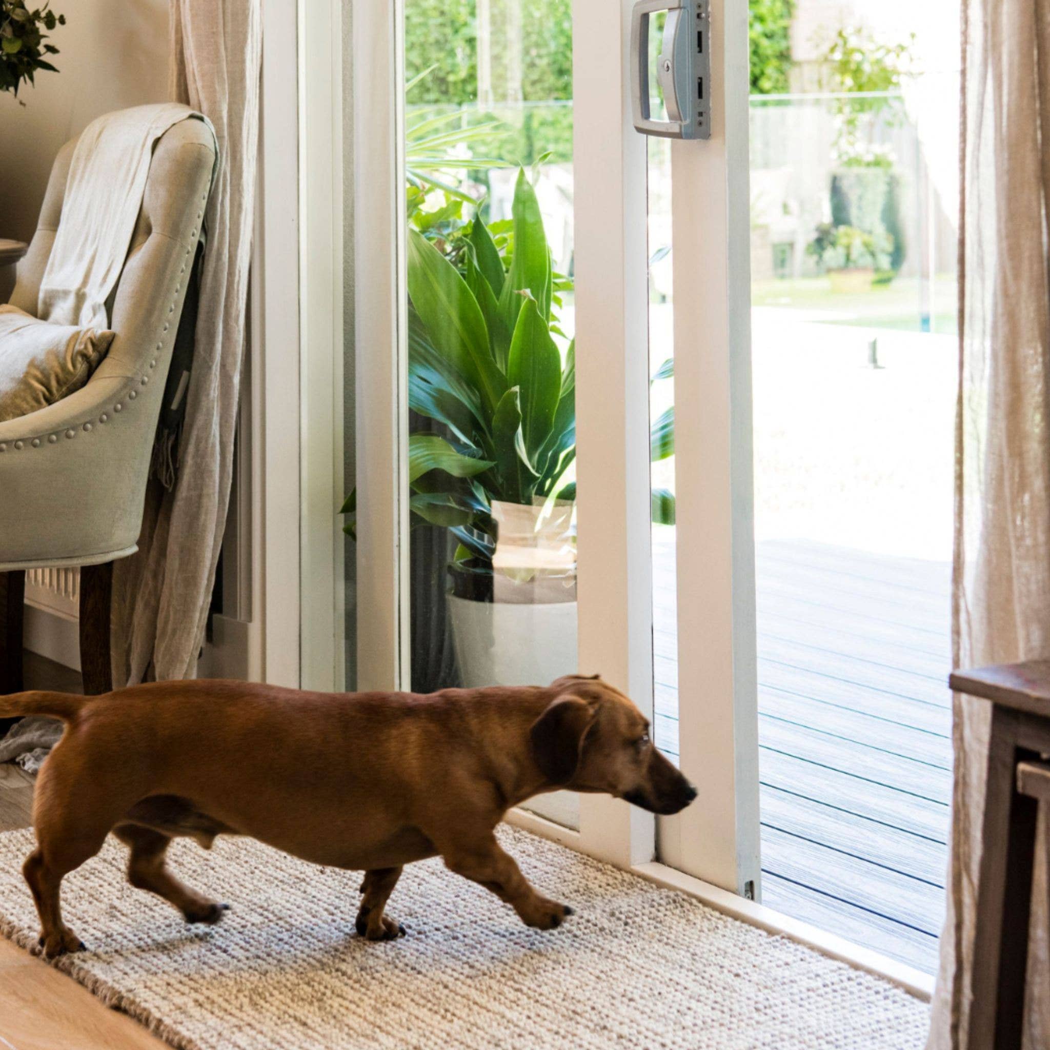 North Avalon - Wholesale Area Rug - Carter | Heathered Wool & Jute Bouclé Rug2