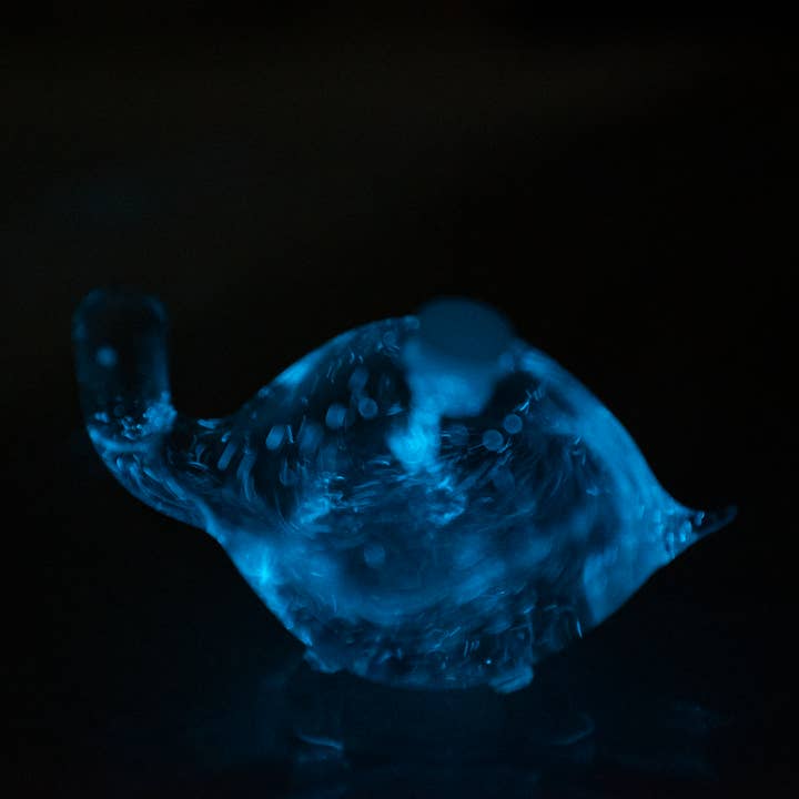 PyroFarms - Wholesale Decorative Tabletop Object - Bioluminescent Bio-Turtle - Gift Option