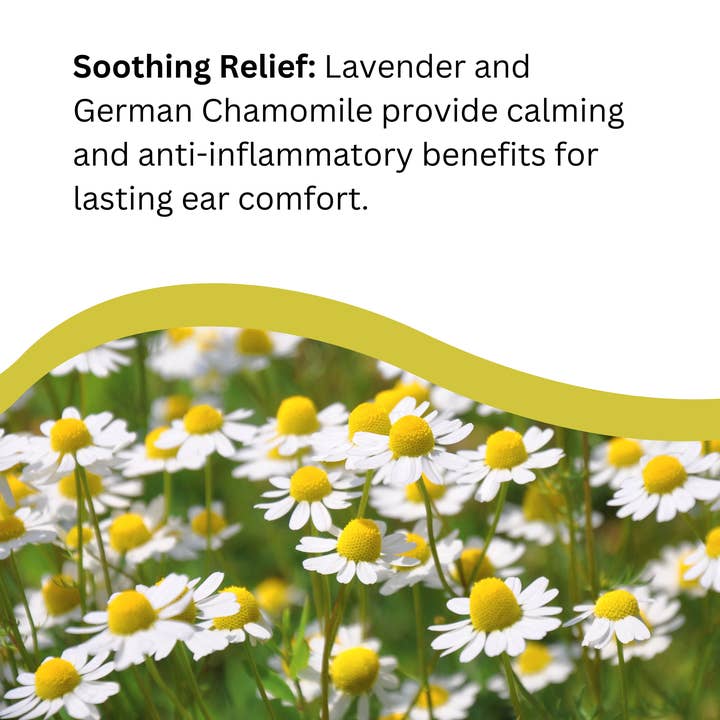 Natures Greatest Secret – wholesale Pet supplement – Dog – Cleansing Colloidal Silver PetCare Ear Drops for Dogs 30ml3