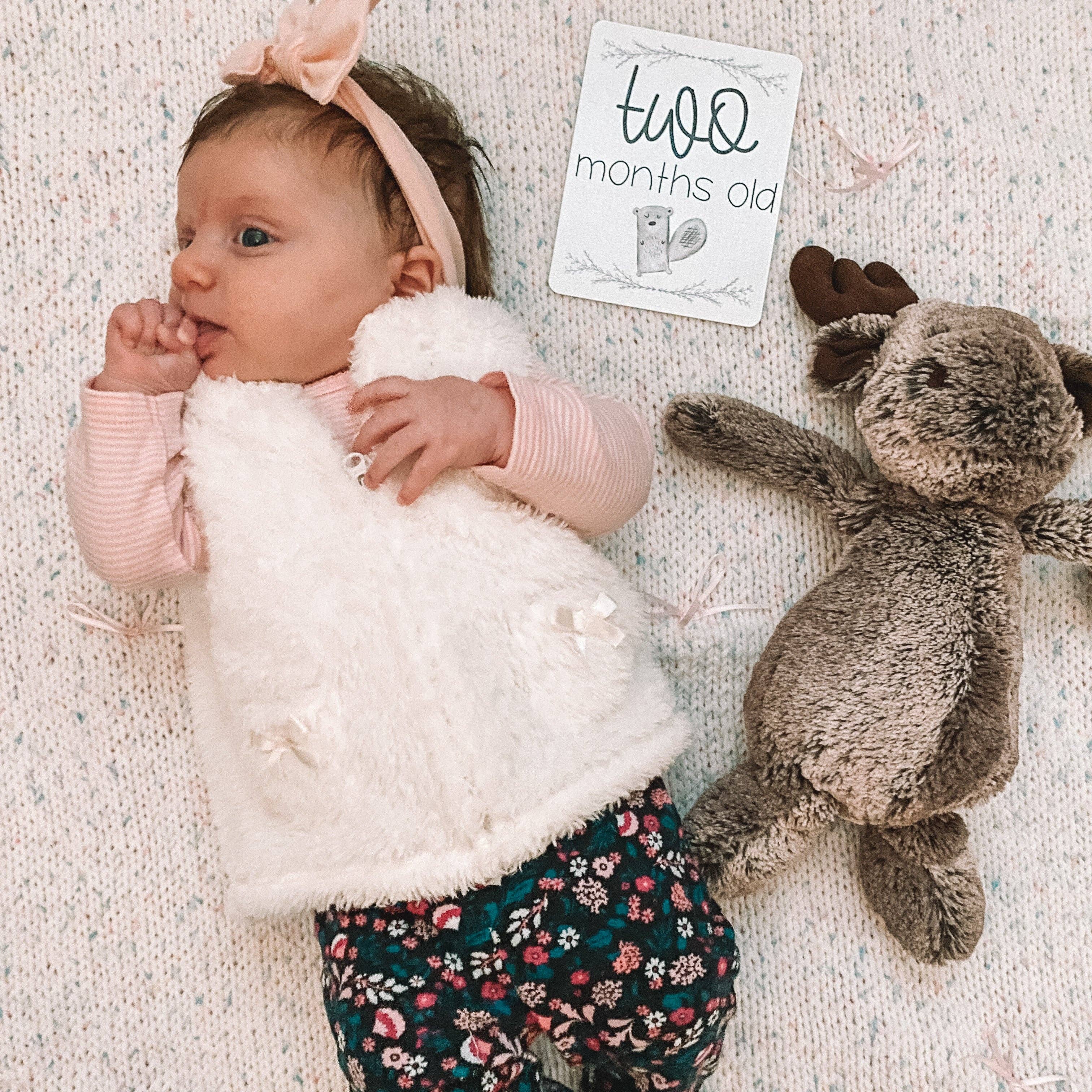 This Little Love Co - Wholesale Milestone Art/Keepsake - Kids & Baby - Baby Milestone Cards - Woodland Animals3