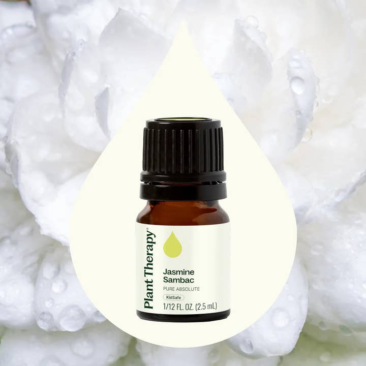Plant Therapy - Wholesale Essential Oil - Jasmine Sambac Absolute 2.5 mL1