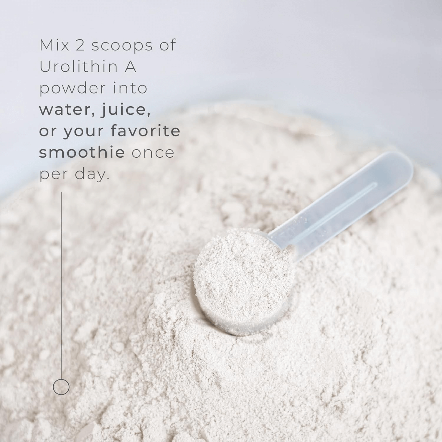 Neurogan Health – Engroshandel Pulver til sunhedsdrik – Urolithin A Pulver4