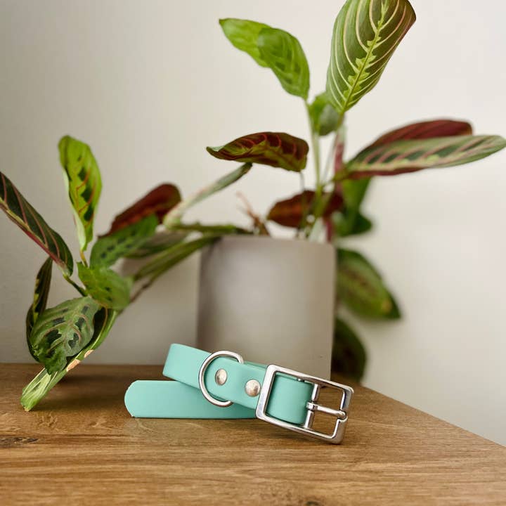 Ploouf Dogs - Wholesale Pet Collar - Dog - Lagoon green “soft touch” dog collar4