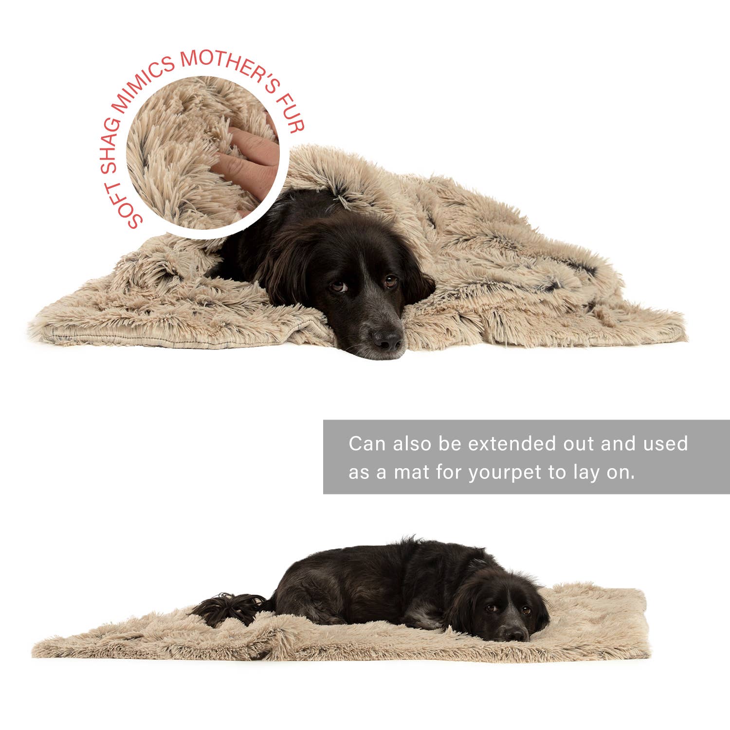 Pet Palette Distribution - Wholesale Pet Blanket - Dog - Best Friends by Sheri Blanket Shag Taupe 40x501