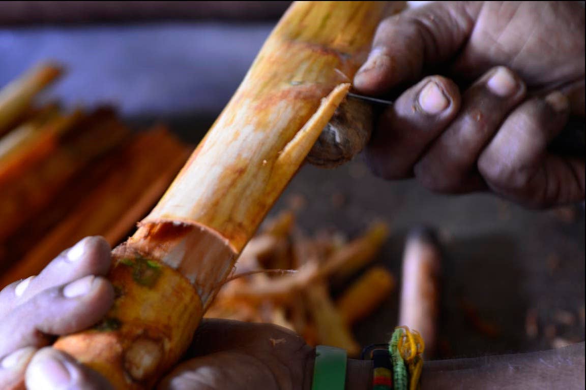 Sourcery - Wholesale Dried Spice - Ceylon Cinnamon2