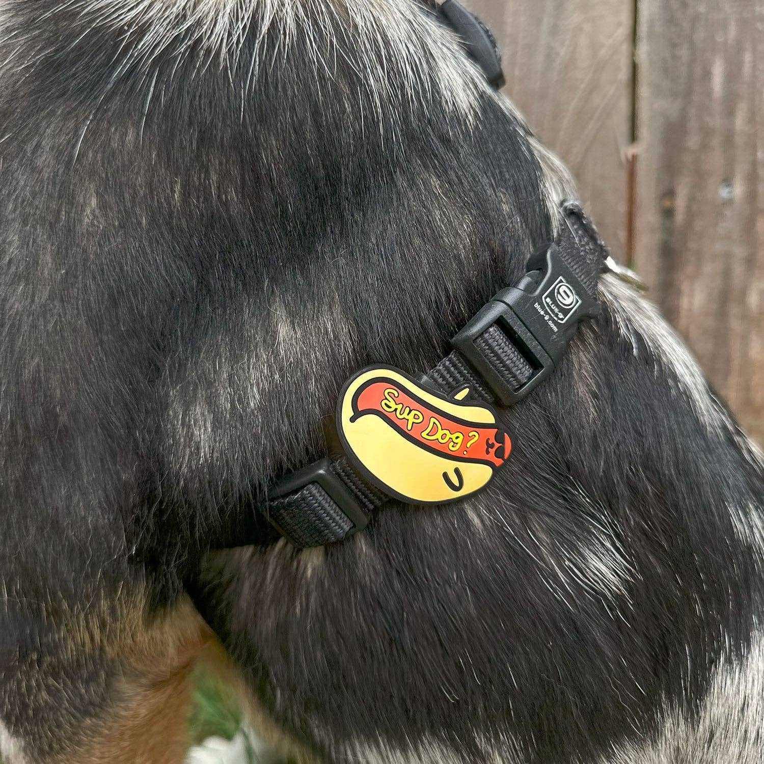 Jiby Dog Crew - Wholesale Pet Collar Charm - Cat/Dog - Sup Dog Jiby Dog Charm2