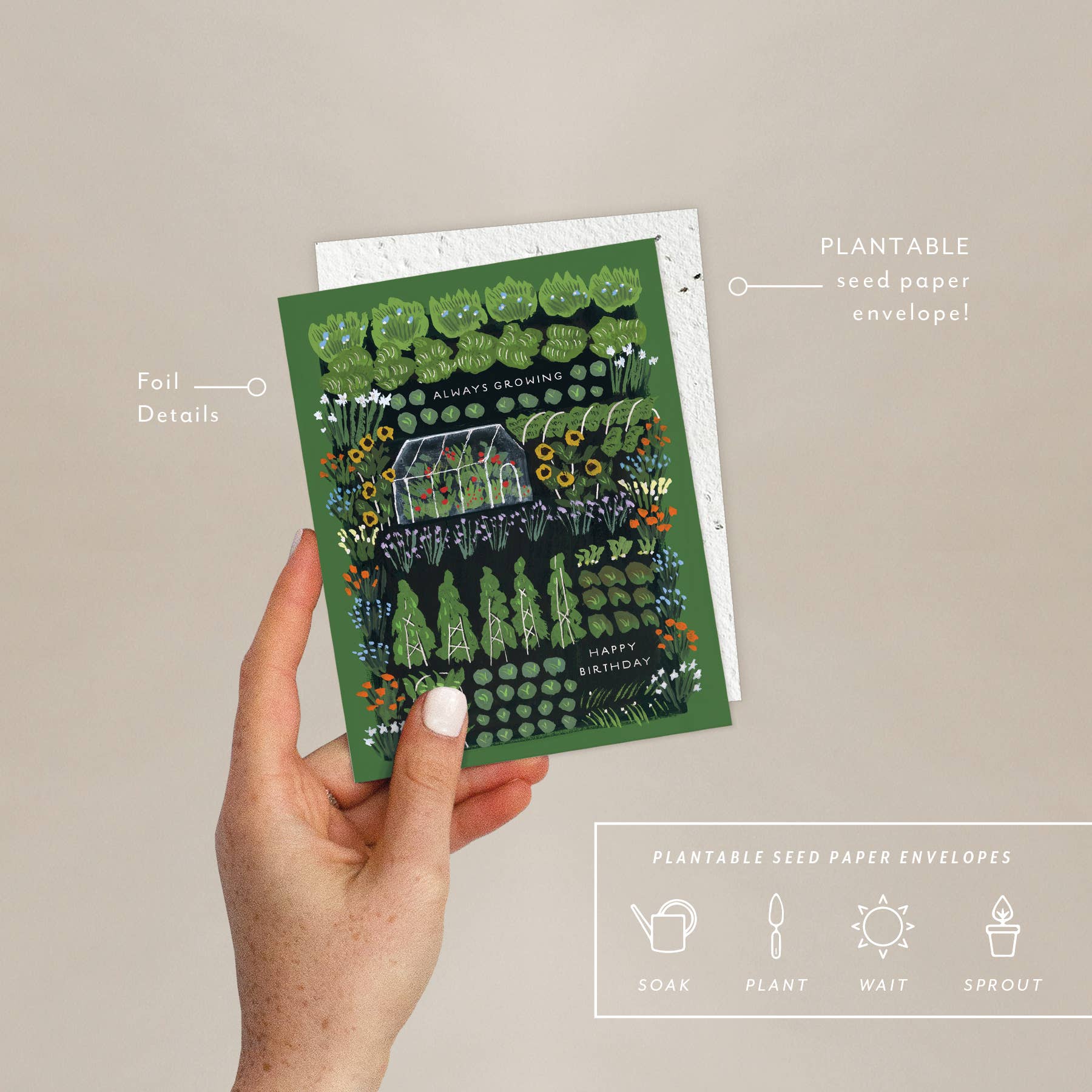 Seedlings - Wholesale Birthday Card - Garden Greenhouse - Birthday Card1