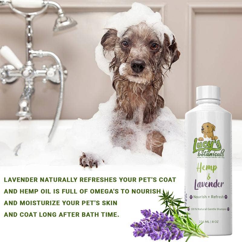 Lucy's Botanical's - Wholesale Pet Shampoo - Dog - Hemp Lavender Dog Pet Shampoo1