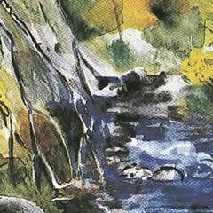 Frame of Mind - Wholesale Stationery/Notecard Set - Rattlesnake Creek - Note card1