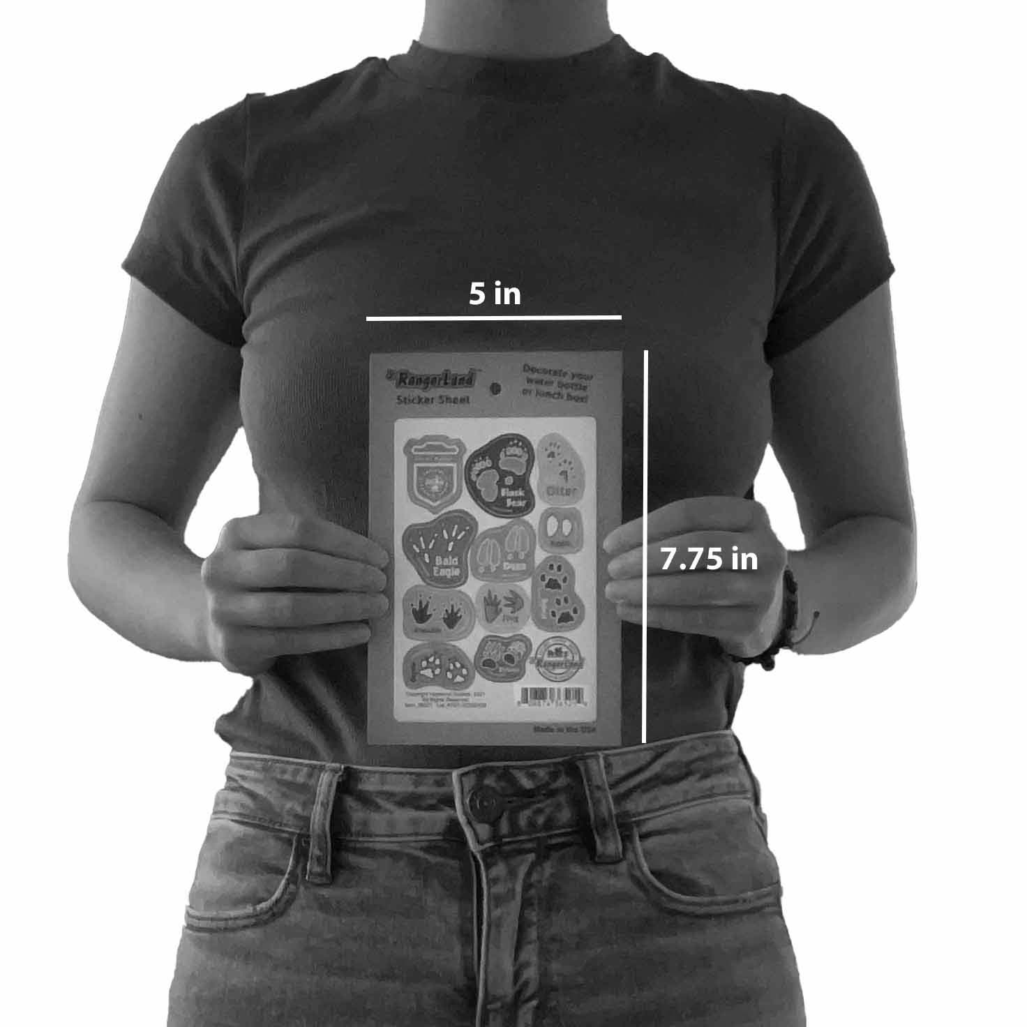 Jr. RangerLand - Wholesale Sticker - Kids & Baby - Jr. Ranger Southwest Stickers5