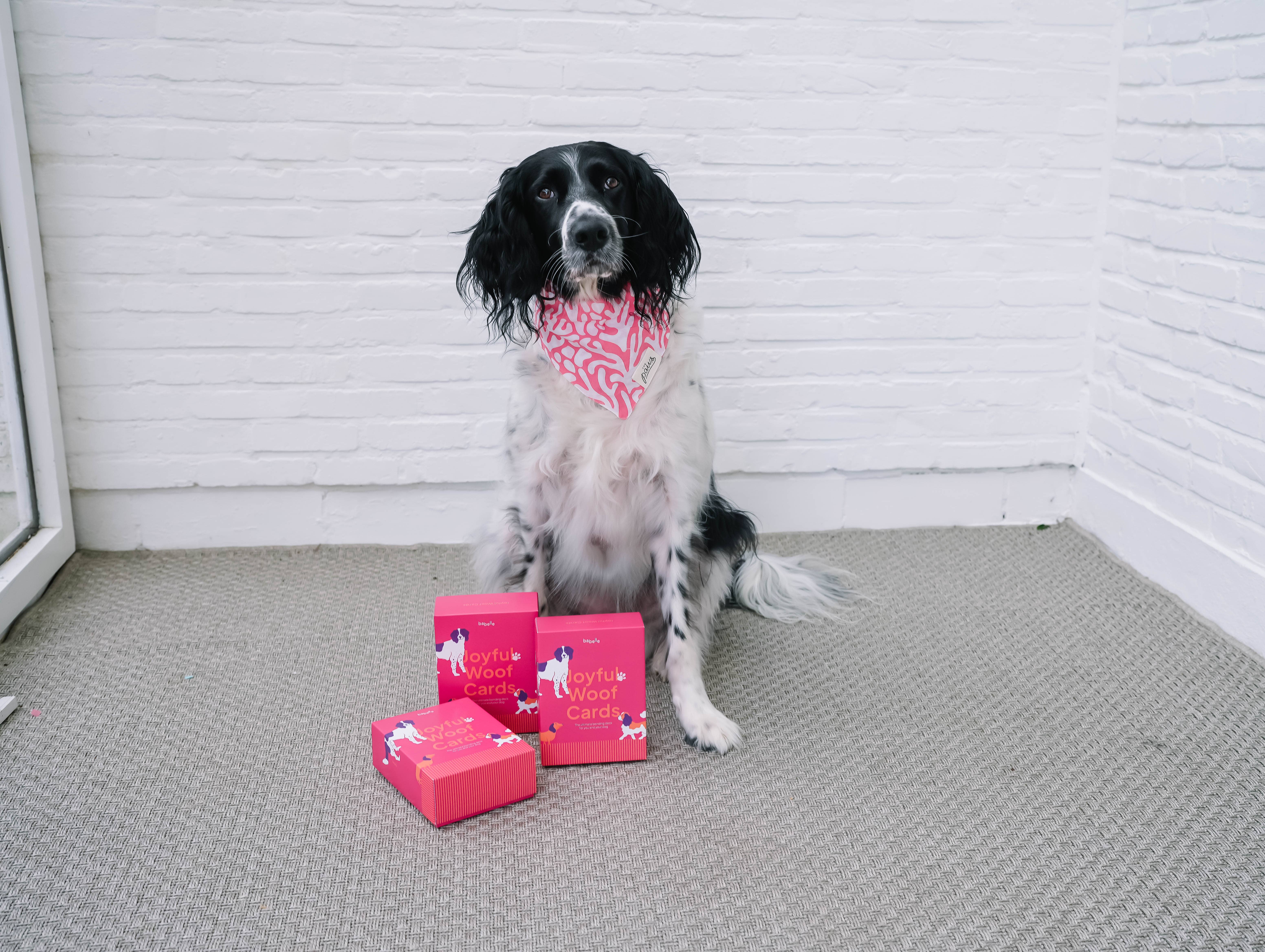 Babelle For Dogs - Wholesale Card Game - Joyful Woof Cards-The ultimate bonding deck for you&your dog9