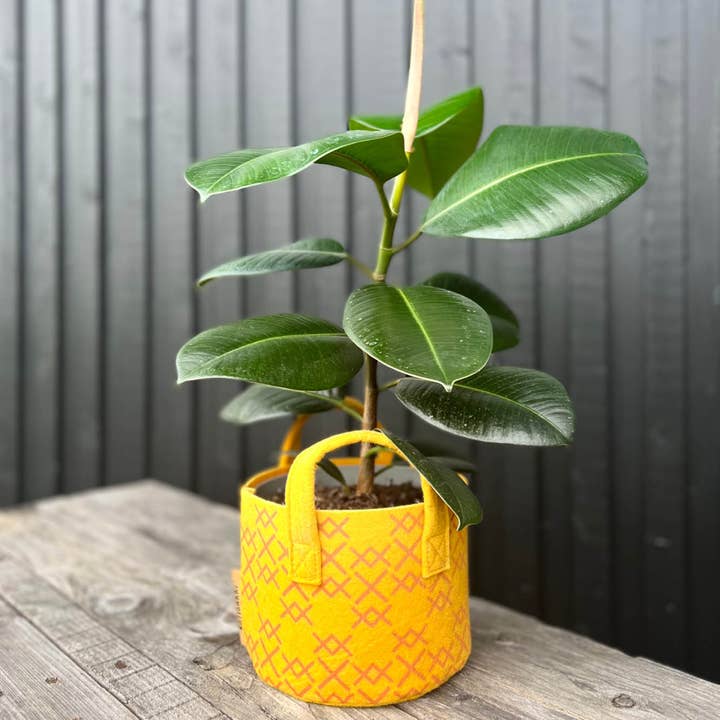 Pot & Cover - Golden Ochre for wholesale by Vilikkala