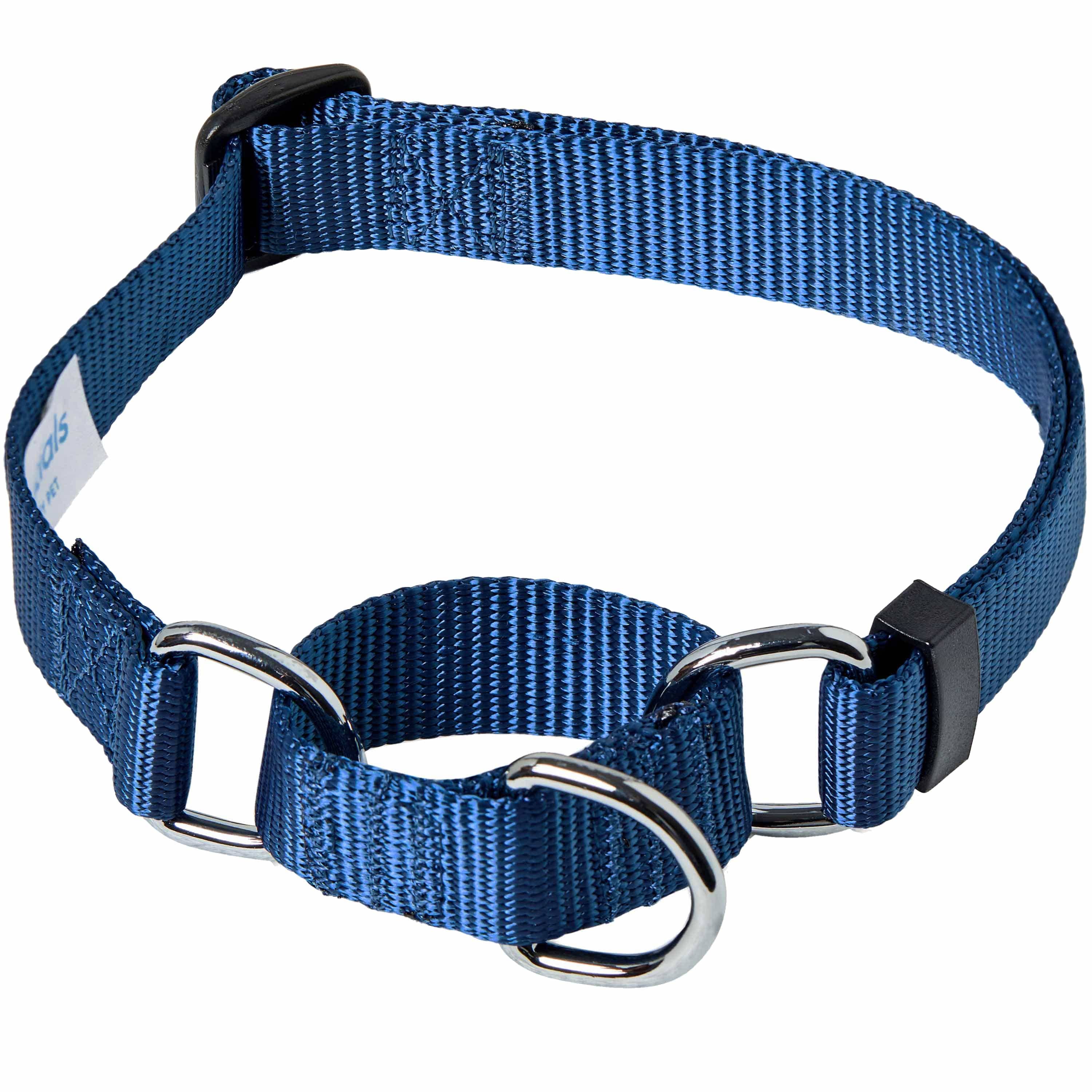 Blueberry Pet – Großhandel Haustierhalsband – Hund – 4 Farben, Klassisches Martingale-Hundehalsband9