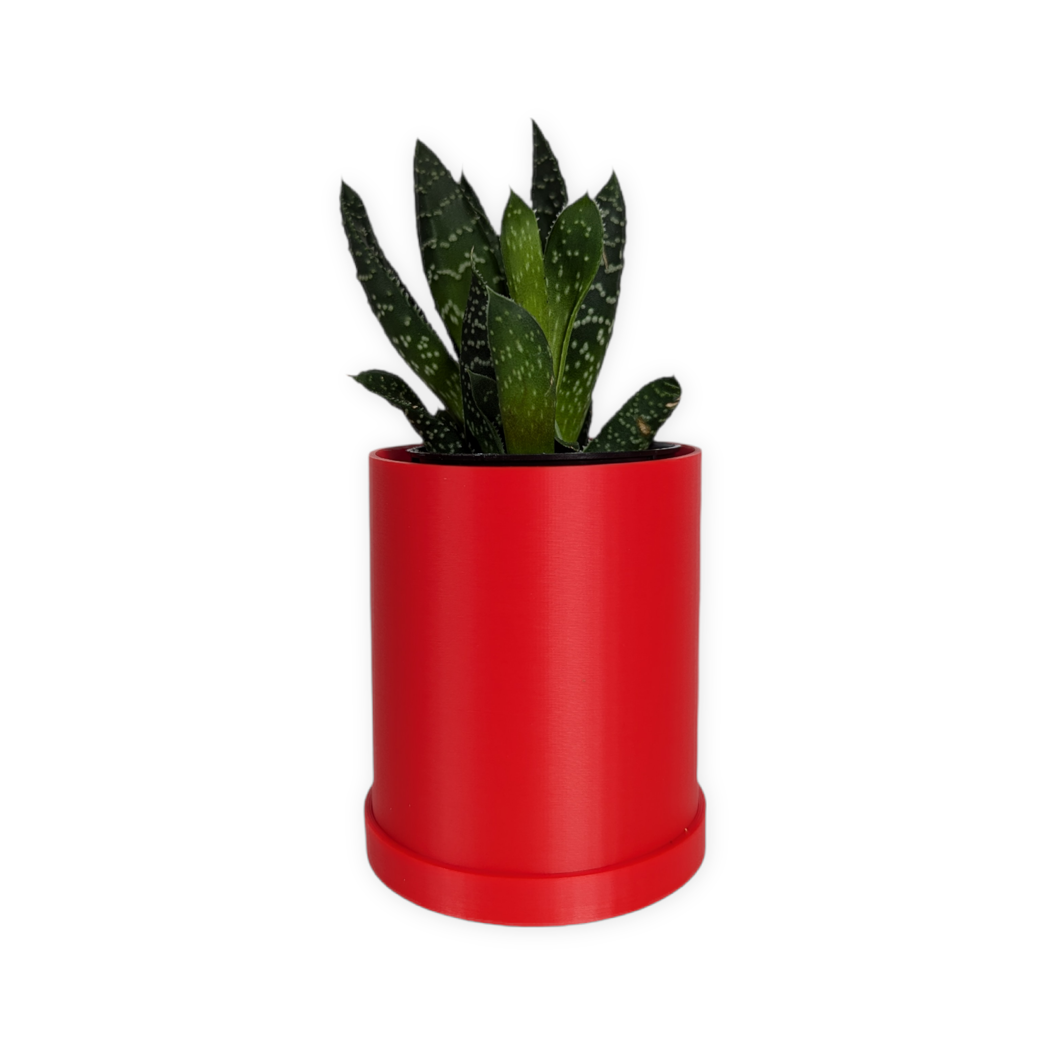 Leafprints.3d - Wholesale Plant Pot - The Pebble – 2 Inch Planter with Drip Tray13