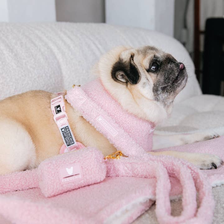 Frenchie - Vendita all'ingrosso Dispenser di sacchetti per la cacca - Portaborse Frenchie Poo - Teddy Pink8