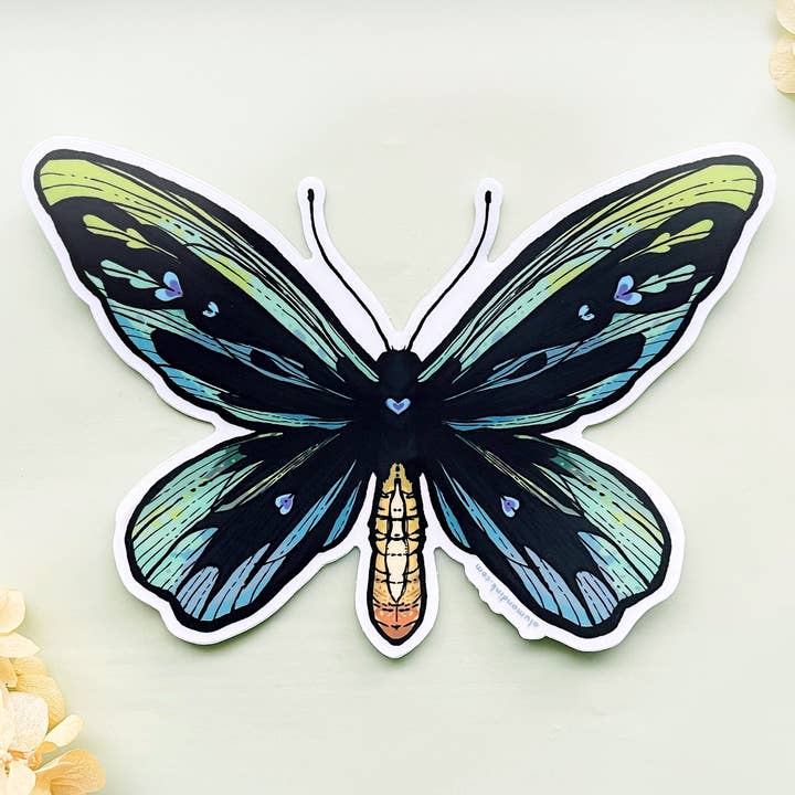 Queen Alexandra's Birdwing Butterfly (Ornithoptera alexandrae) Clear Vinyl Sticker for wholesale by Alum and Ink
