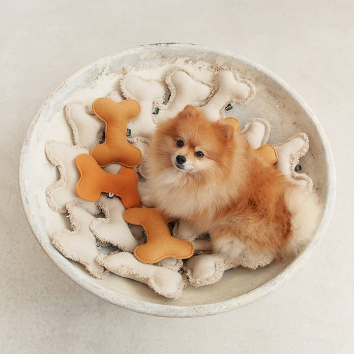 CAFIDE - Wholesale Pet Plush Toy - Dog - White Bone Dog Toy, Fleky