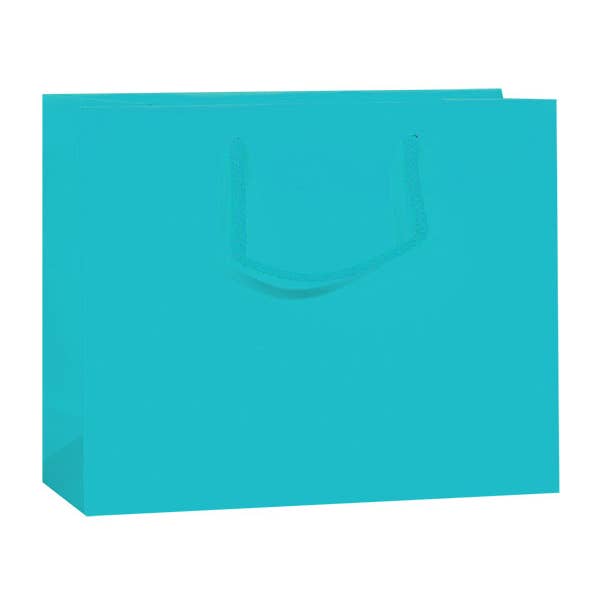 Nashville Wraps - Wholesale Gift Bag - Matte Paper Cord Handle Gift Bags32