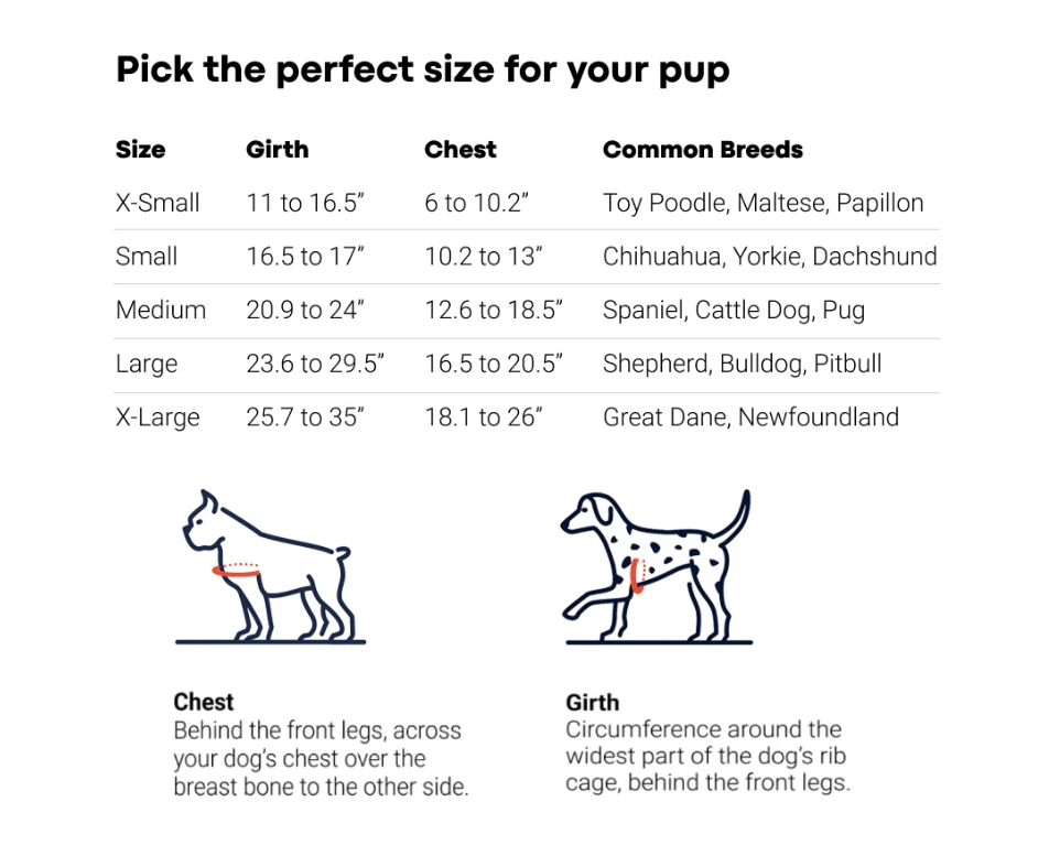 Lumi Pawtners - Wholesale Pet Harness - Dog - Lumi One - Lighting Your Path at Night!2