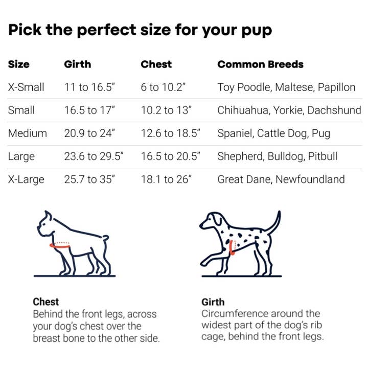 Lumi Pawtners - Wholesale Pet Harness - Dog - Lumi One - Lighting Your Path at Night!2