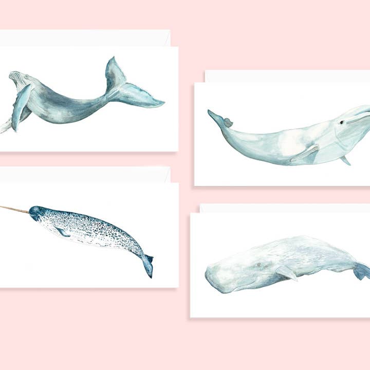 Juego de tarjetas acuarela Whales Note para venta al por mayor de Studio C Paper