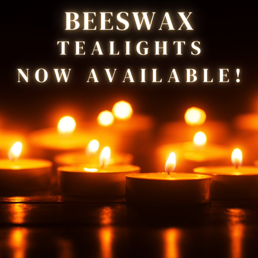 Thy Will Bee Done Apiary – wholesale Tea light candles – Beeswax Tealight Candles, Organic Tea Lights, Pack Candles7