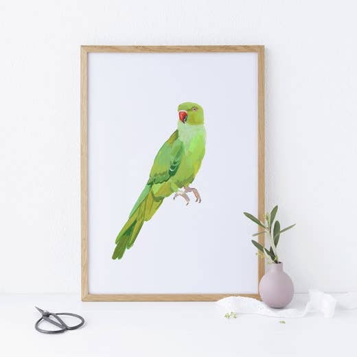 Green Indian Ringneck Parrot Bird Illustration Giclee Fine Art Print for wholesale by Stephanie Missan Studio