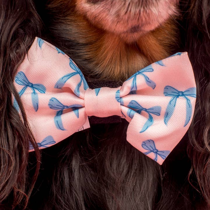Pablo & Co. Boutique - Wholesale Pet bow tie – Dog - Baby Blue Bows: Bow Tie1