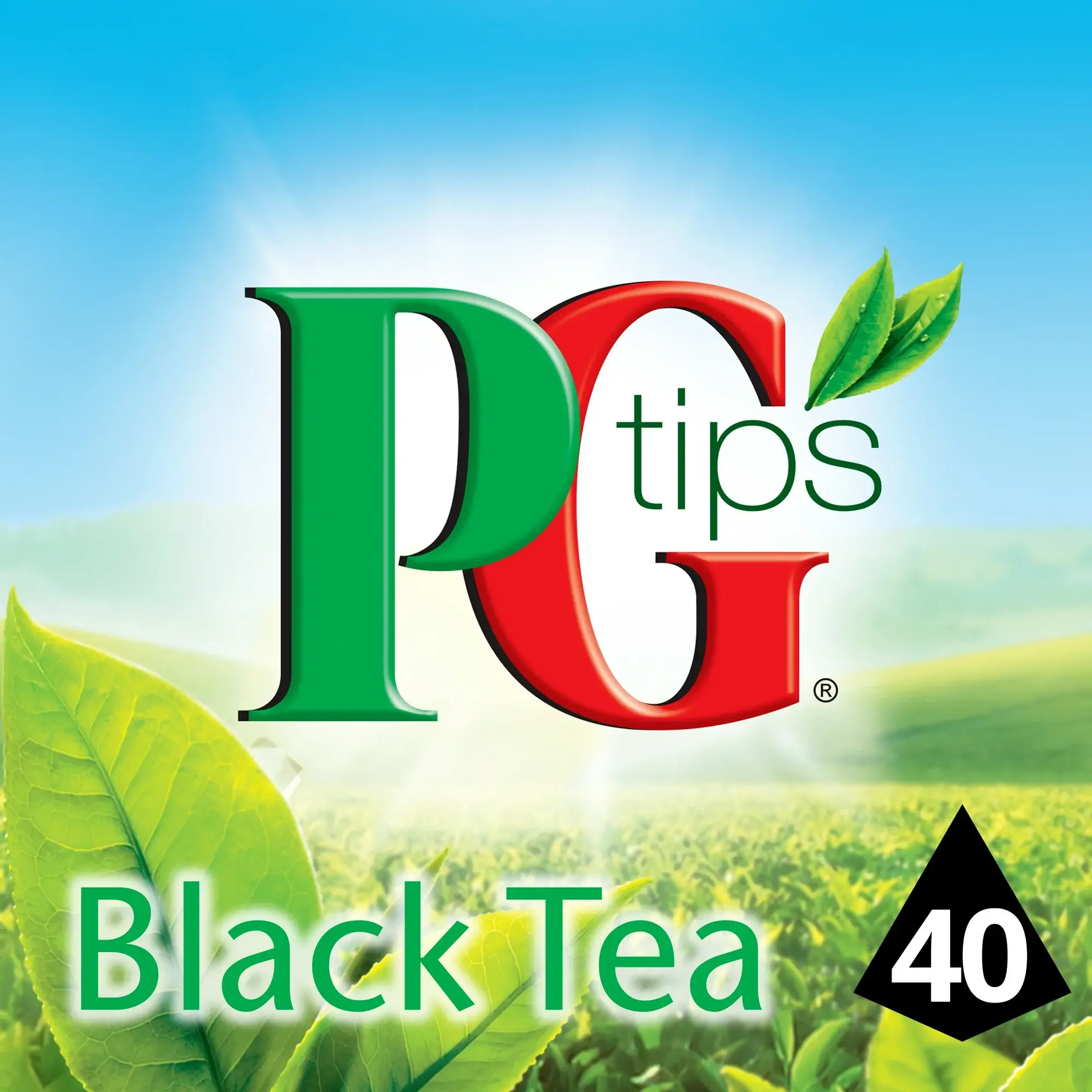 Lipton & TAZO - Wholesale Tea Bags - PG Tips Premium Classic Black Tea, Tea Bags, Caffeinated3