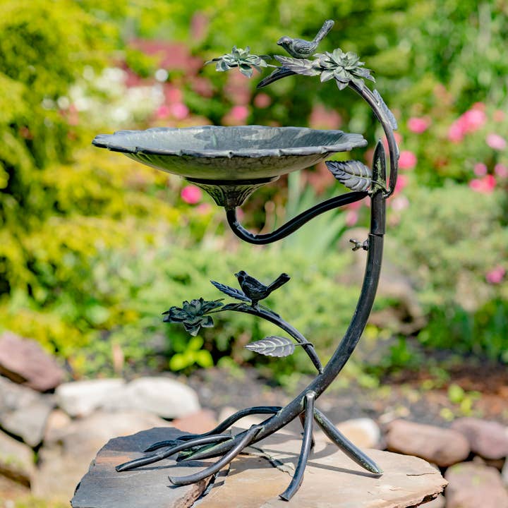 Zaer Ltd. International - Wholesale Bird Bath - Scallop Edge Birdbath with Branch Stand- 2 Color Options1