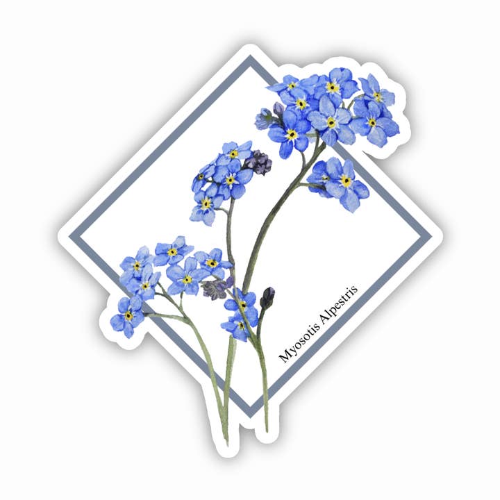 Alpe Forglem-mig-ej Blomstermærkat, Akvarelblomstkunst for engroshandel hos CMarie Northwest
