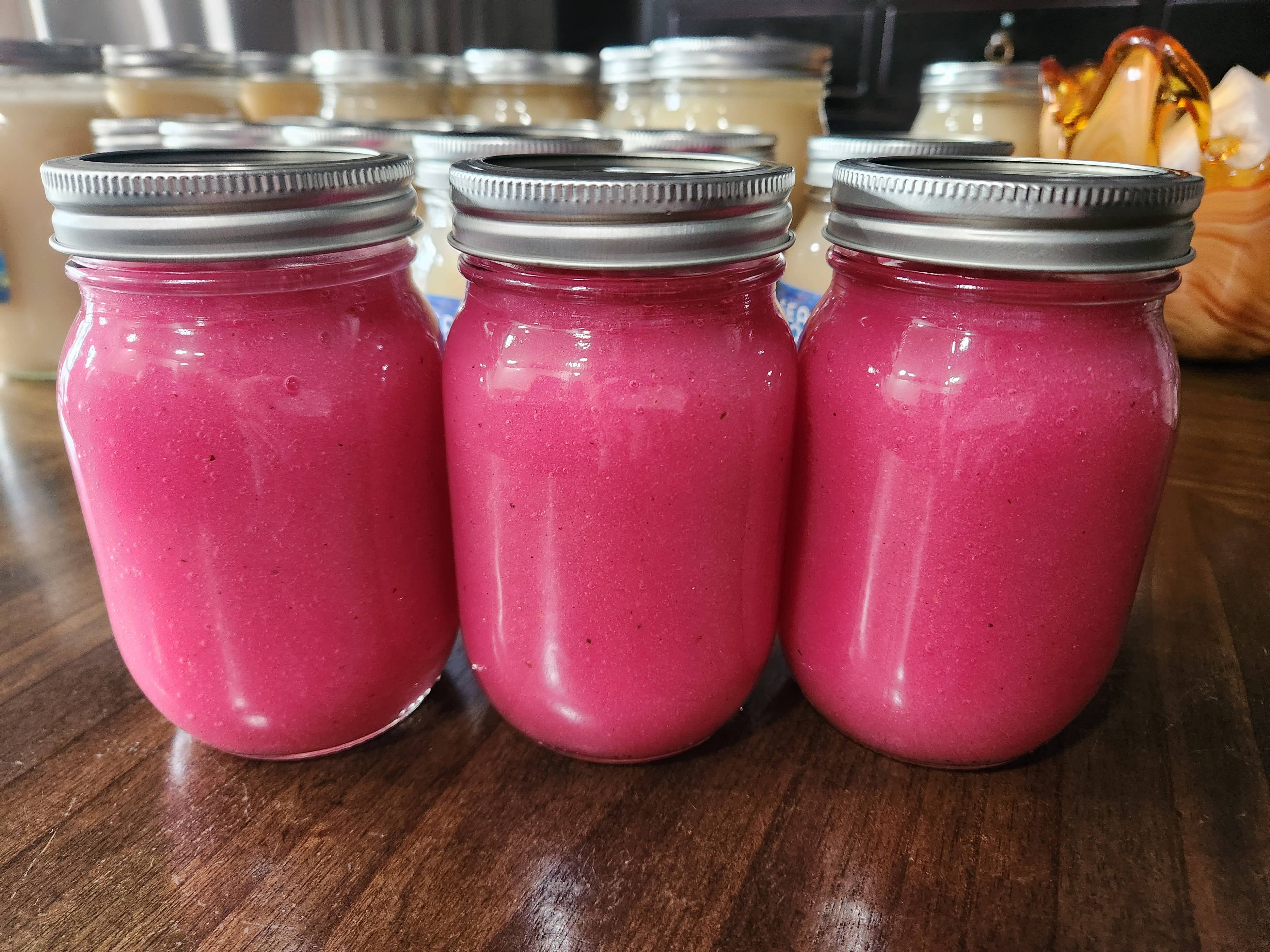 Sea Moss Organics LLC - Vente Supplément oral/vitamine - Gel de mousse de mer sauvage aux fruits de figue de Barbarie 454 g2