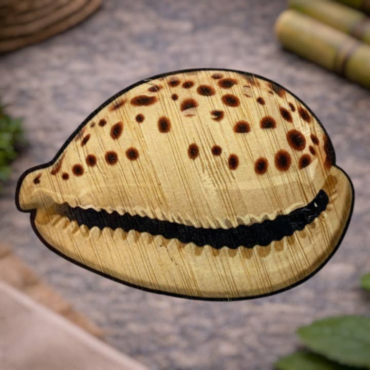 Coquillage cauri pour la vente par Bamboo Wood Stickers