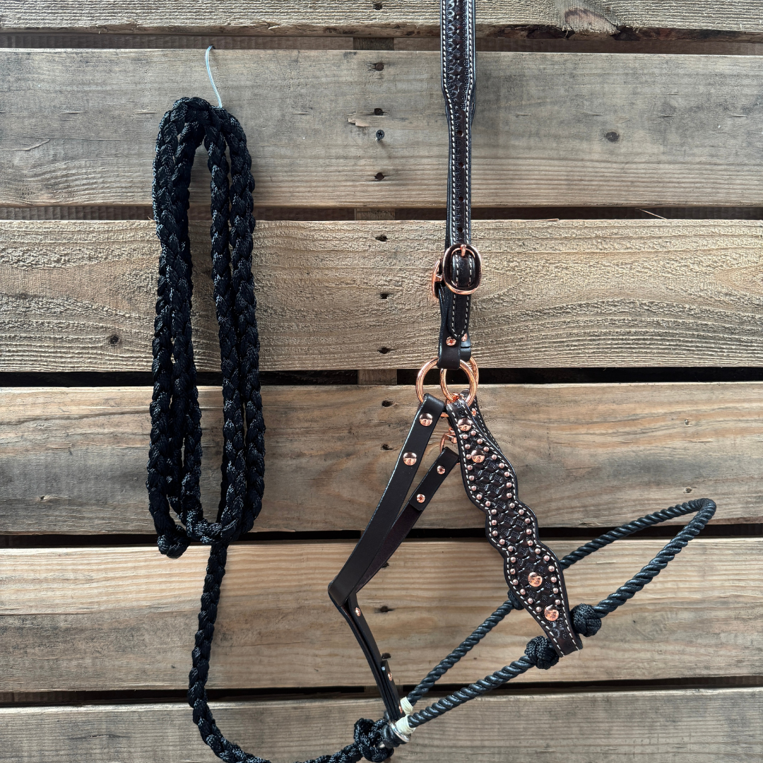 Rodeo Drive - Wholesale Horseback Riding Gear - Black Honeycomb Tooled Lariat & Leather Combo Halter0
