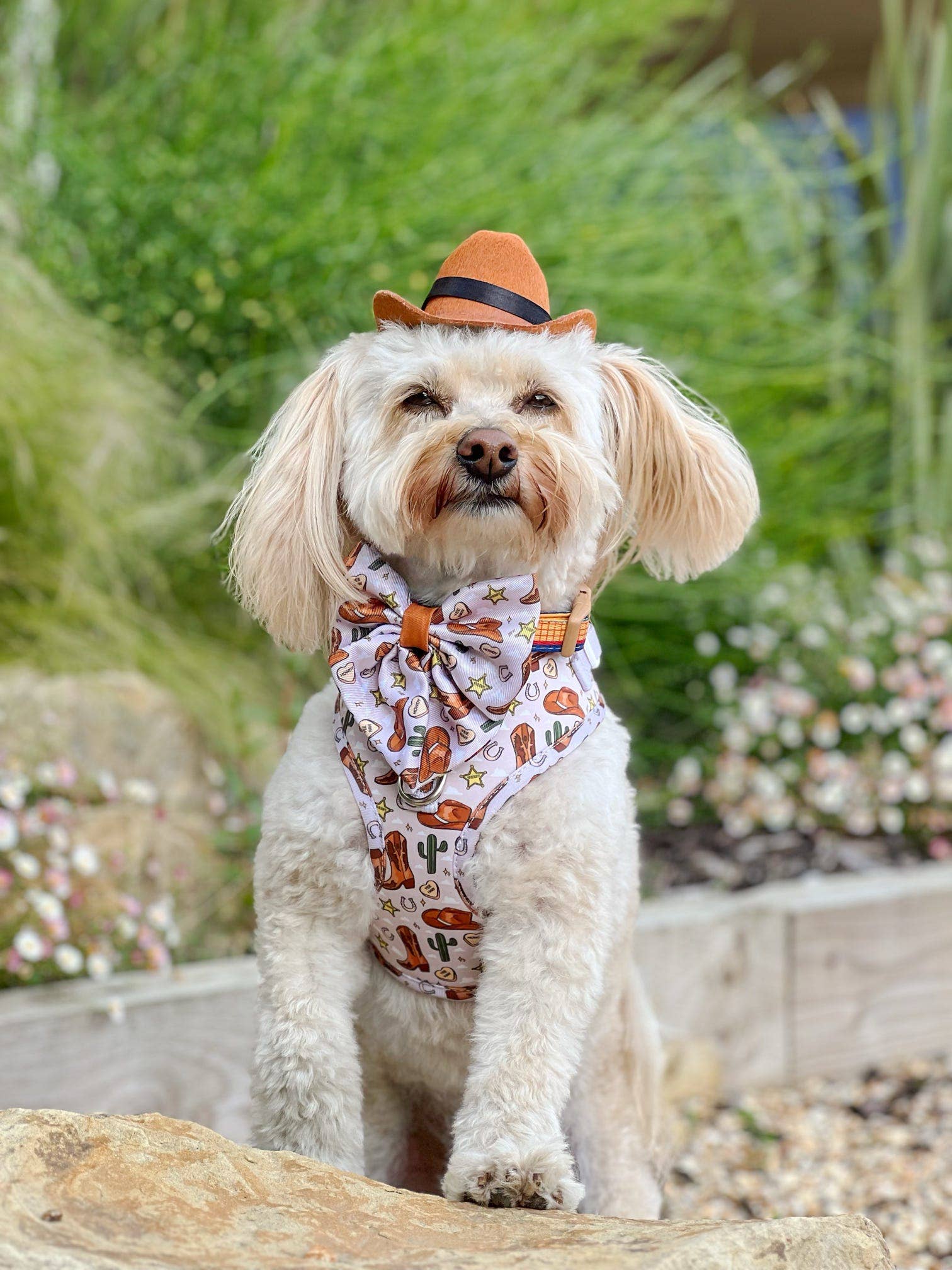 The Paw Print Boutique – wholesale Pet harness – Dog – Howdy Pawtner Adjustable Harness4