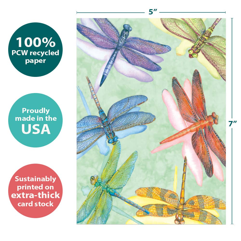 Tree-Free Greetings - Wholesale Everyday Greeting Card - Dragonflies All Occasion 6 Pack 890003