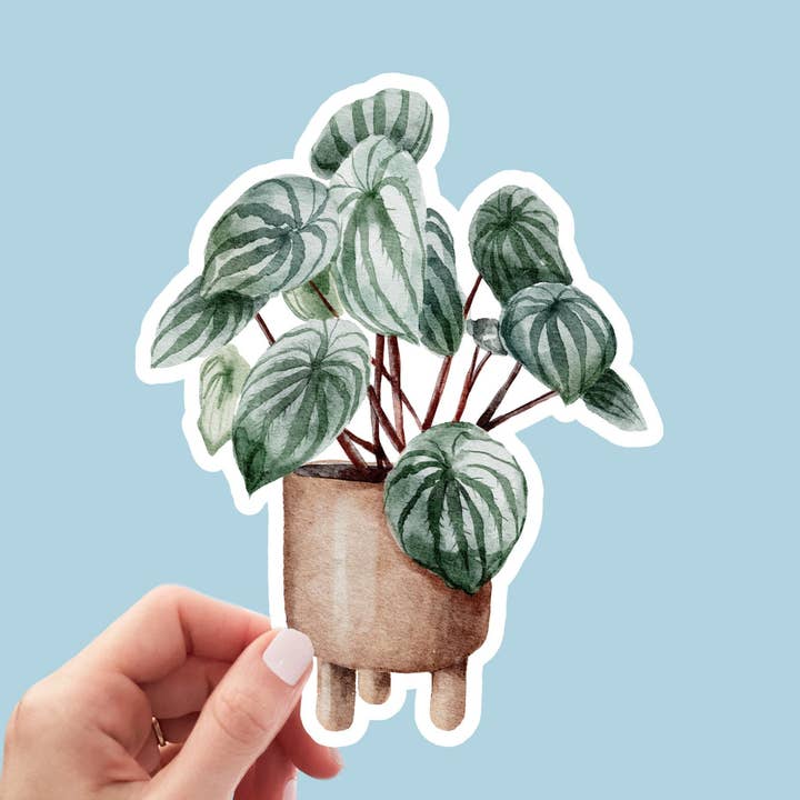 Adhesivo con plantas de interior, resistente al agua para venta al por mayor de Kenjia Design