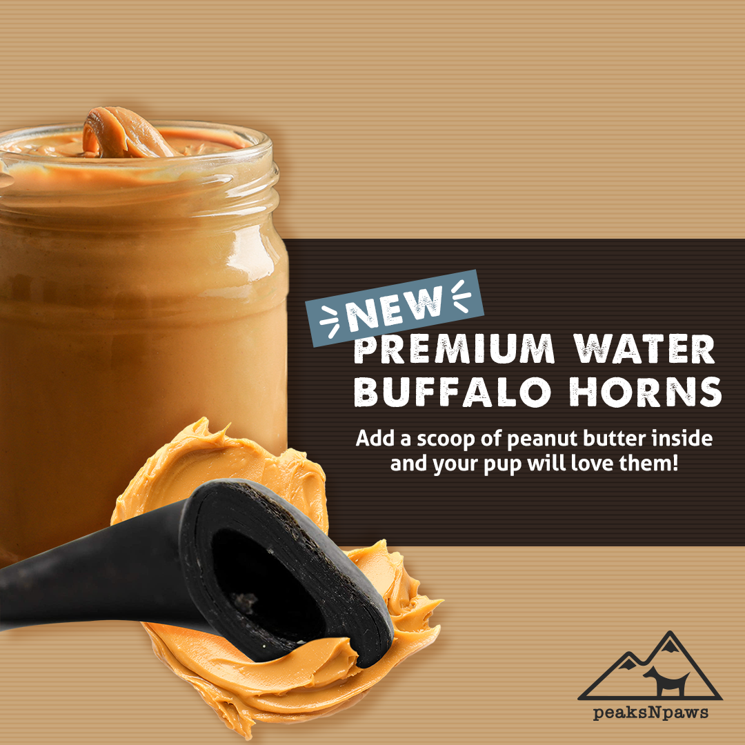 peaksNpaws - Wholesale Pet Chew Toy - Dog - Premium Water Buffalo Horns - Small3