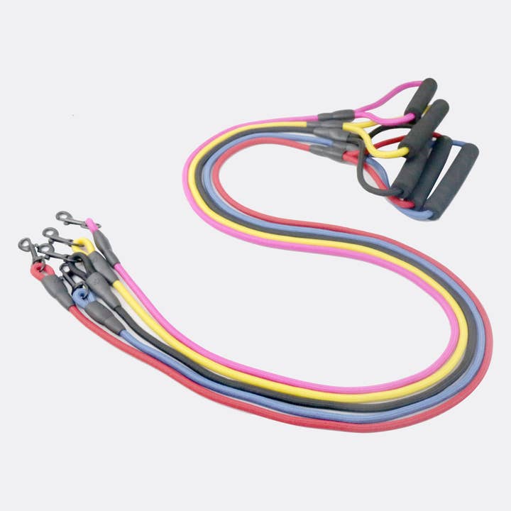 Pet Leash With Foam Handle for wholesale by Amomi