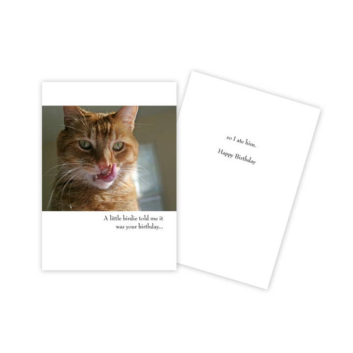 Ginger Cat Funny Birthday Card for wholesale by Sun Day Greetings