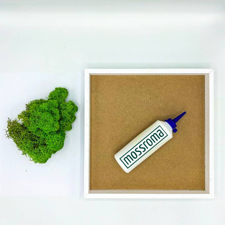 Kit de bricolage pour cadre stabilisé : Reindeermoss pour la vente par Mossroma