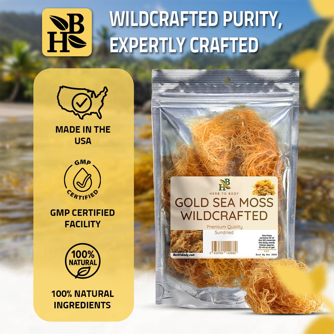 Herb To Body - Wholesale Herbs - Gold Sea Moss (Dry) -  Wildcrafted From Caribbean 4oz4