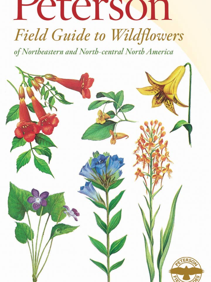 Peterson Field Guide to Wildflowers, A: Margaret McKenny for wholesale by HarperCollins