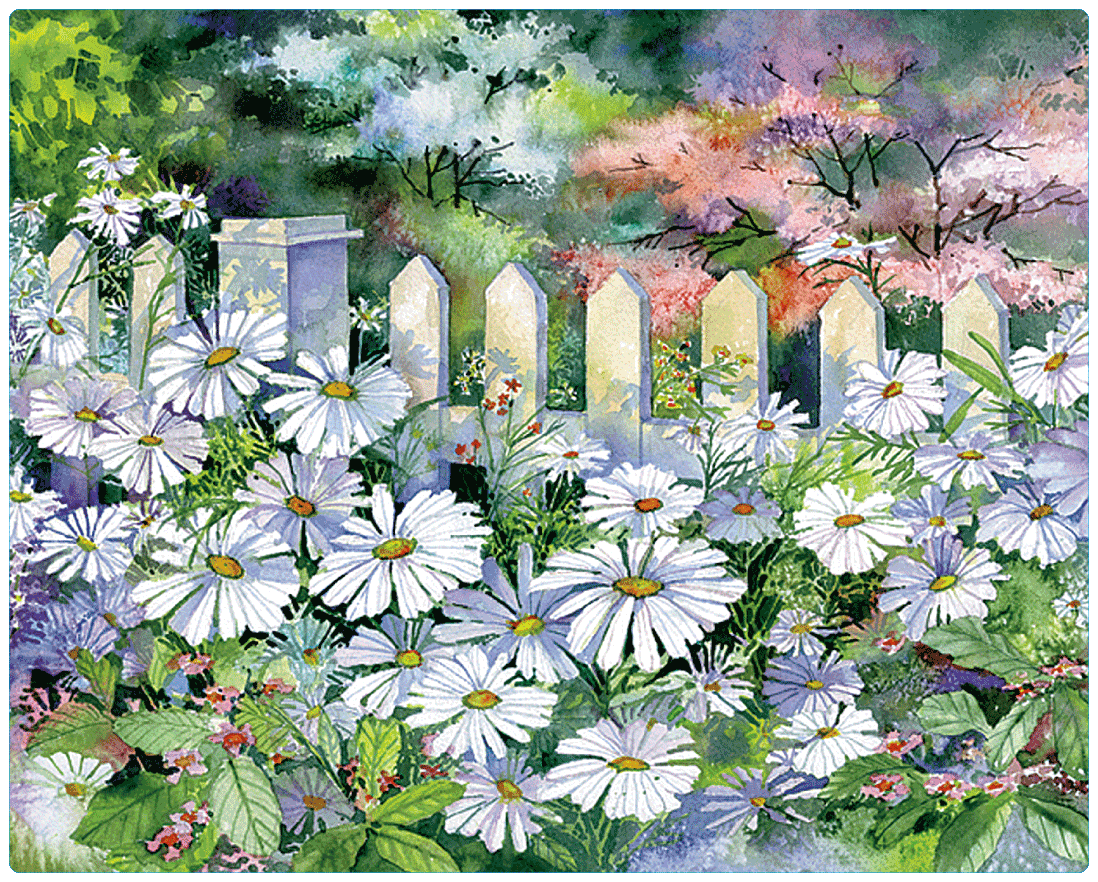 American Products Group, Inc - Wholesale Pencil - 12" x 15" Daisy Garden Magic Slice Gourmet Size0