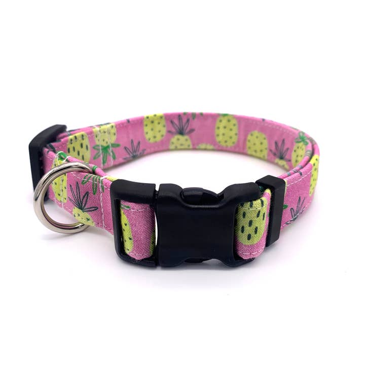 Collier pour chien Pink Pineapple pour la vente par Winthrop Clothing Co.