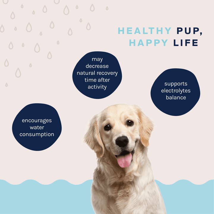 Good Trouble Pets - Wholesale Pet Supplement - Dog - Dog Hydration Powder Supplement