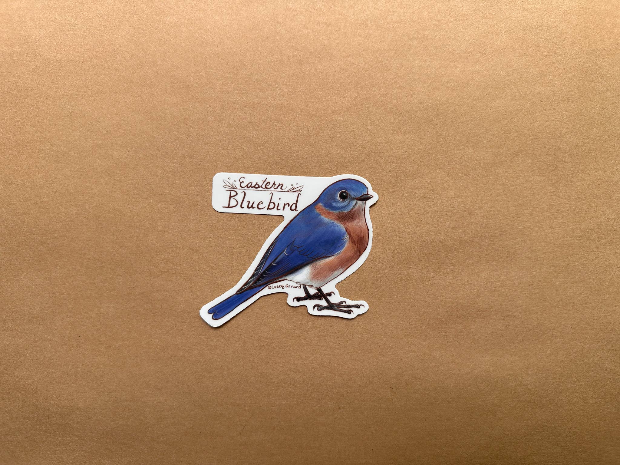River Thrush Studio - Wholesale Sticker - Eastern Bluebird - Vinyl Sticker2