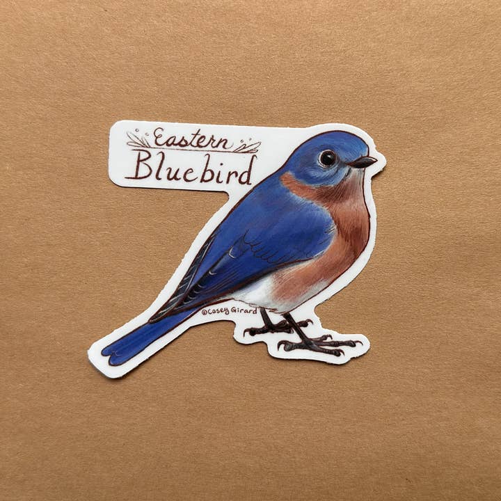River Thrush Studio - Wholesale Sticker - Eastern Bluebird - Vinyl Sticker2