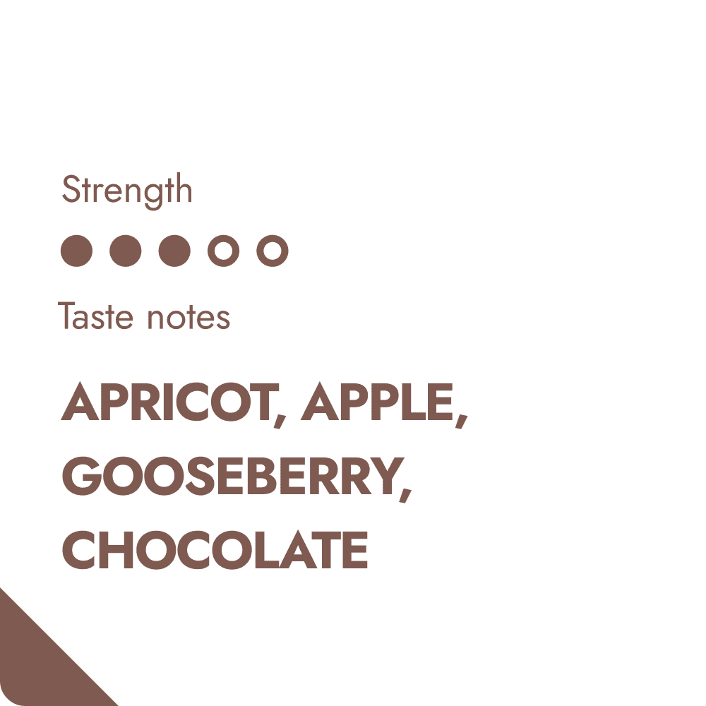 The Brew Company - Wholesale Coffee Beans - COLOMBIA COFFEE BEANS1